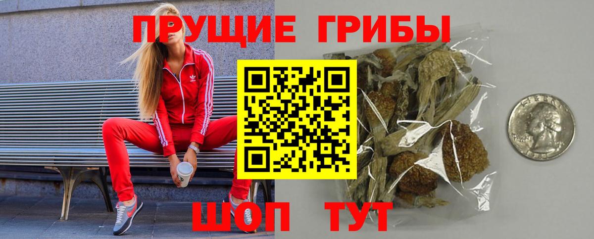 Псилоцибиновые грибы Psilocybine cubensis  Вход с VPN  Балашов 